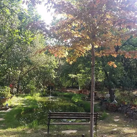 Mylena Holiday home *