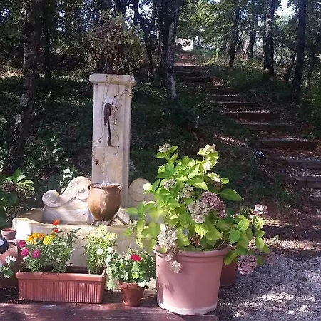 Mylena Holiday home *